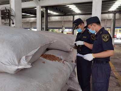 老港海關查獲6.3噸禁入固體廢物，軟木制品制造原料藏隱患